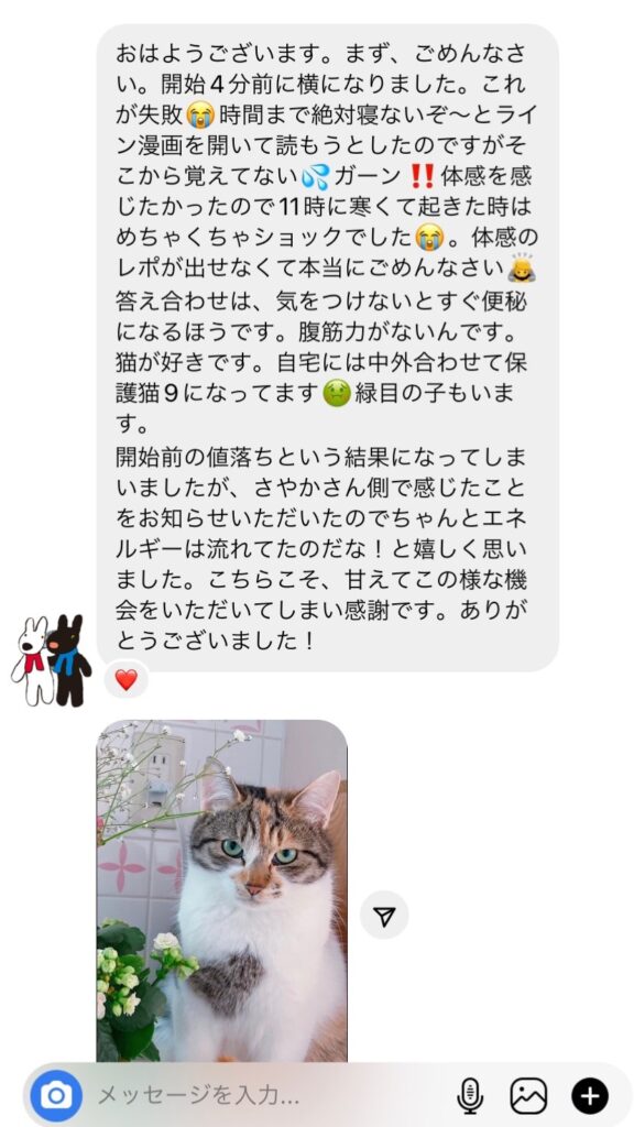 写真2