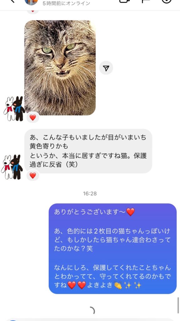 写真3