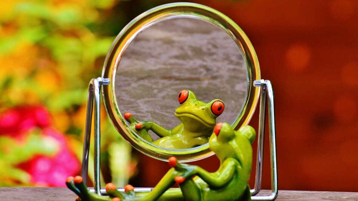 鏡を見るカエル