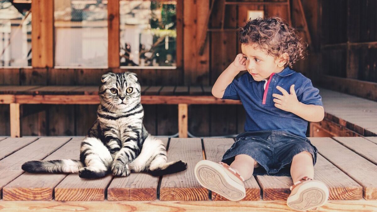 猫と男の子