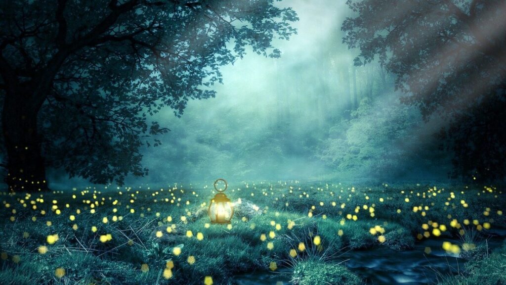 夜の森