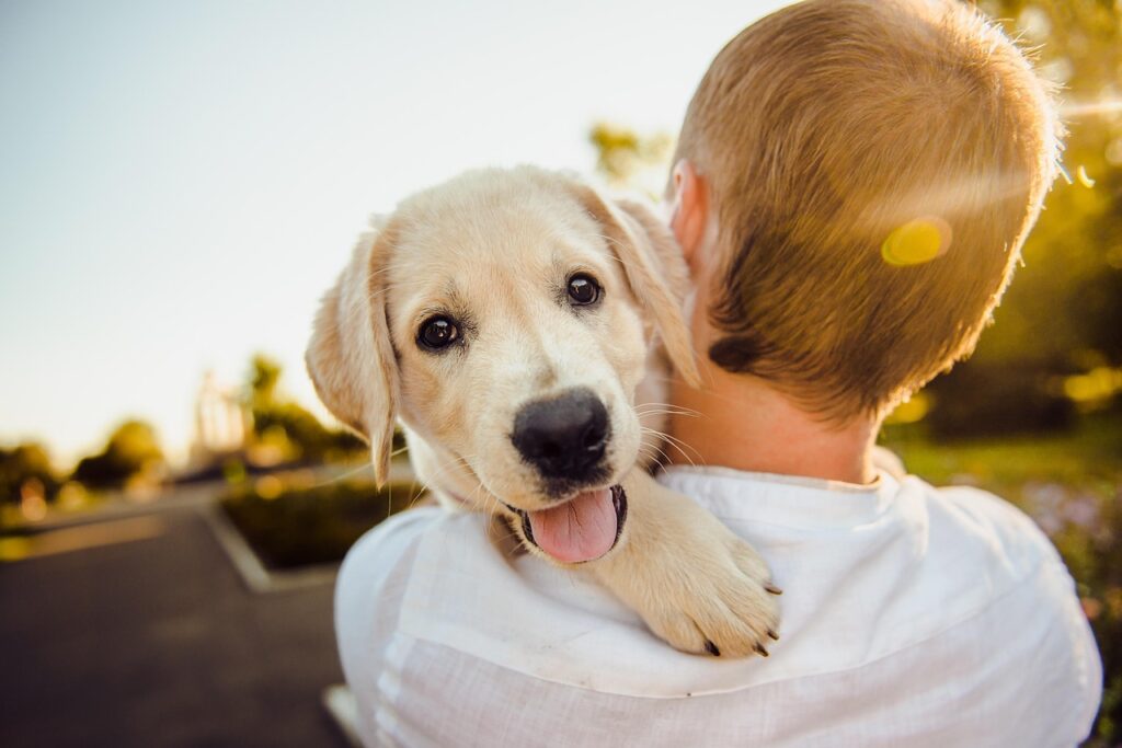犬と子ども